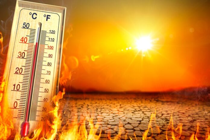 Mercury soars to 48.8 degree C in Rajasthan, five die of suspected heat stroke