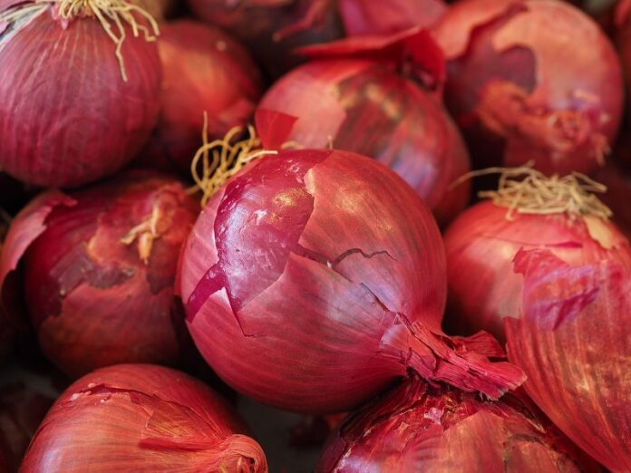 Onion prices increase 30-50% in 2 weeks as demand rises: Report