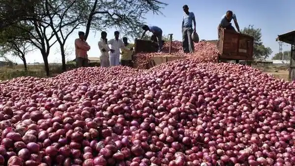 Onion Prices Increase 