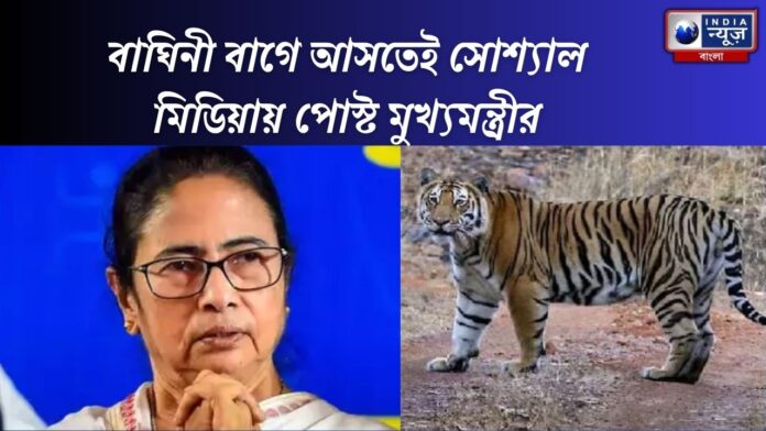 West Bengal CM Mamata Banerjee congratulates forest officials for rescuing tigress Zeenat